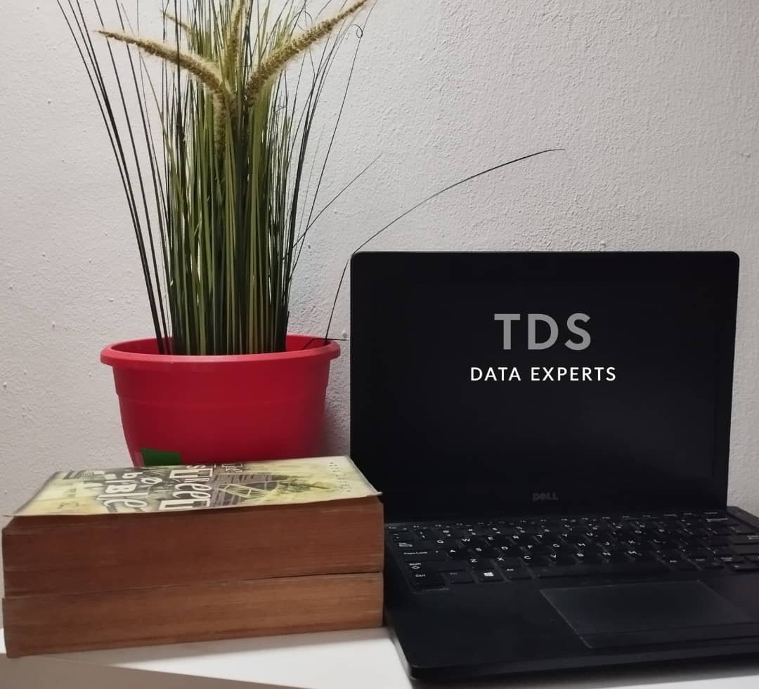 Discover Teamo Digital Solutions: Your Partner in Digital Excellence